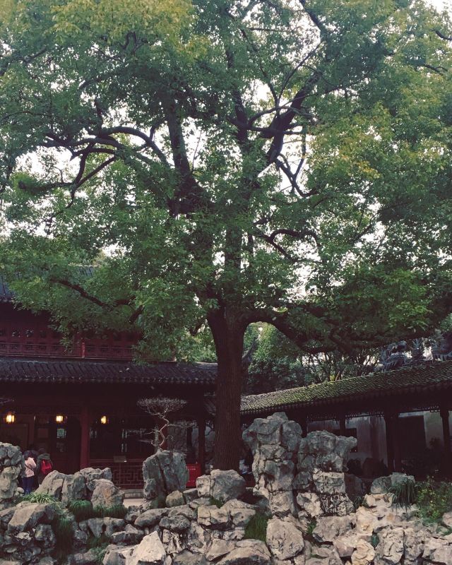 예원