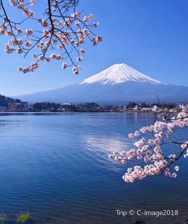 7D6N • From SG -- Japan · Flights & Meals Incl · Inquire for Free Flight Quote & Custom Dates · Tokyo + Osaka + Disneyland + USJ · Leisure Pace · Senior-Friendly