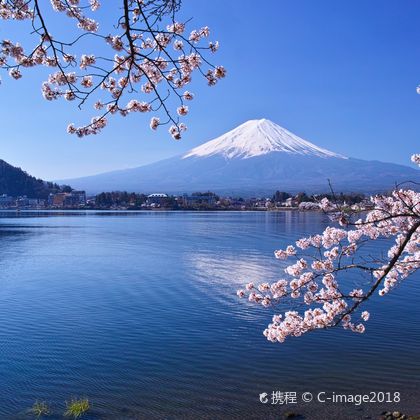 日本富士山+河口湖八音盒之森美术馆+忍野八海一日游