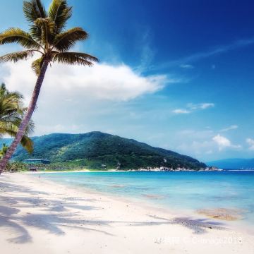 三亚7日6晚私家团