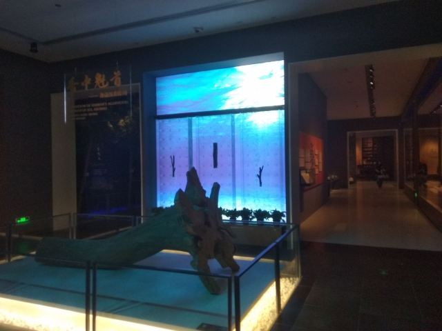 하이난 박물관