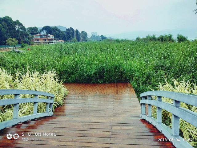 Yueliangwan Wetland Park