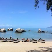 谁动了小陶的牛奶