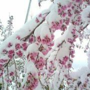 我不是是是楊林峰