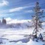 苦丁不苦有点甜