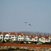 另刂云力立占亻主