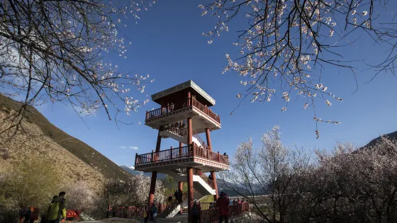 嘎拉村