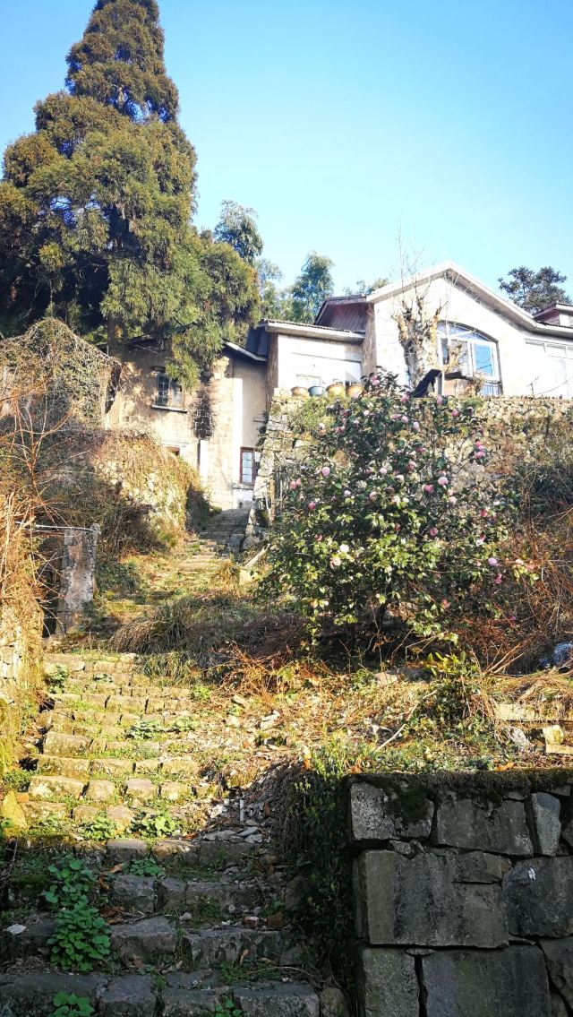 莫干山景區