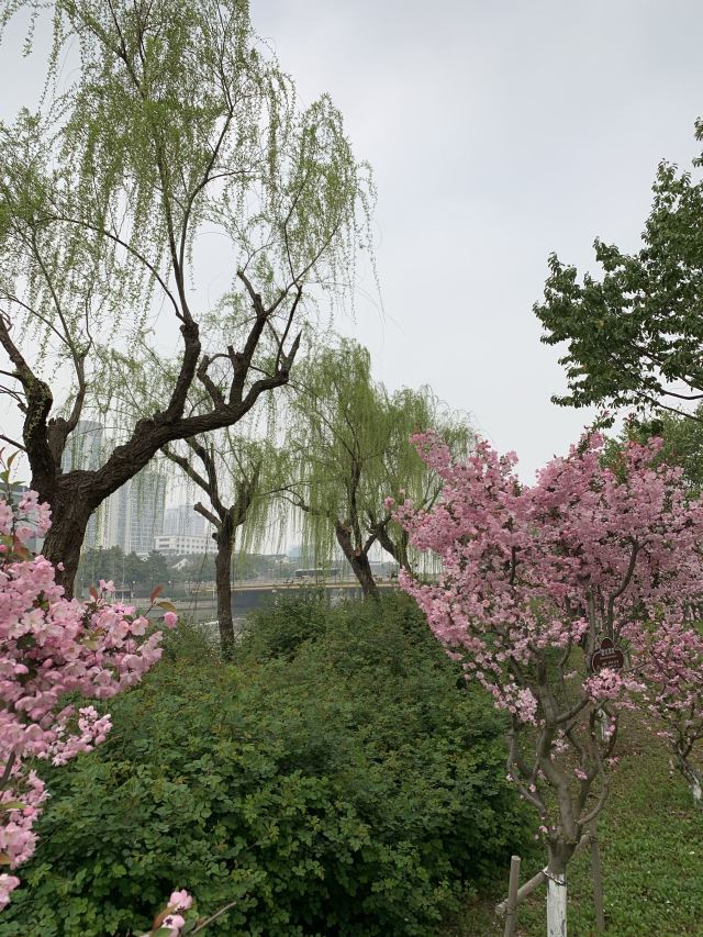 苏州百花洲公园攻略,苏州百花洲公园门票/游玩攻略/地址/图片/门票