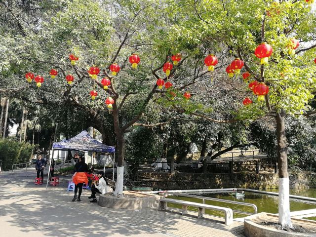 东莞人民公园旅行图片 2