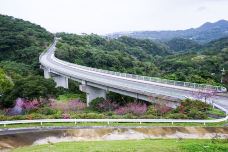 八重岳樱之森公园-本部町-探员姜豆