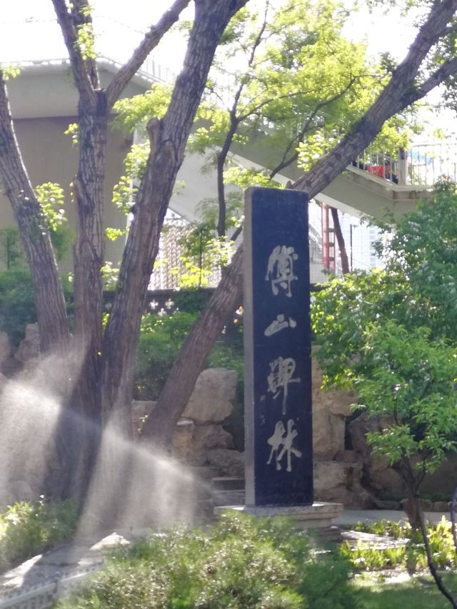 碑林公园旅行图片 1