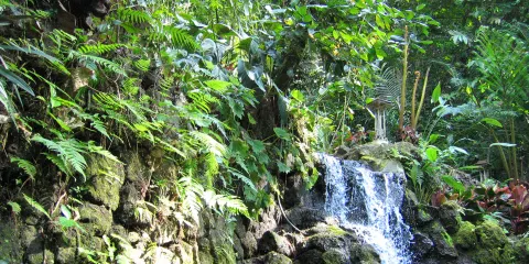 Mt. Uragay Spring Resort