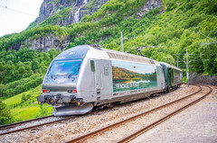 挪威北部游记图片] 弗洛姆惊艳绝伦的高山小火车