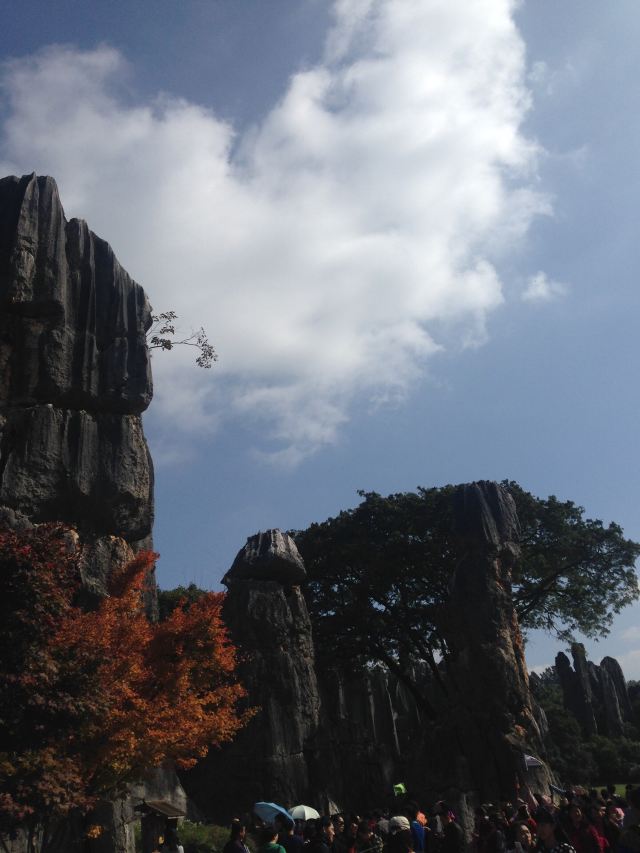 乃古石林风景区旅行图片 4