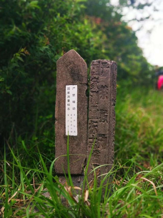 九龙山国家级自然保护区旅行图片 5