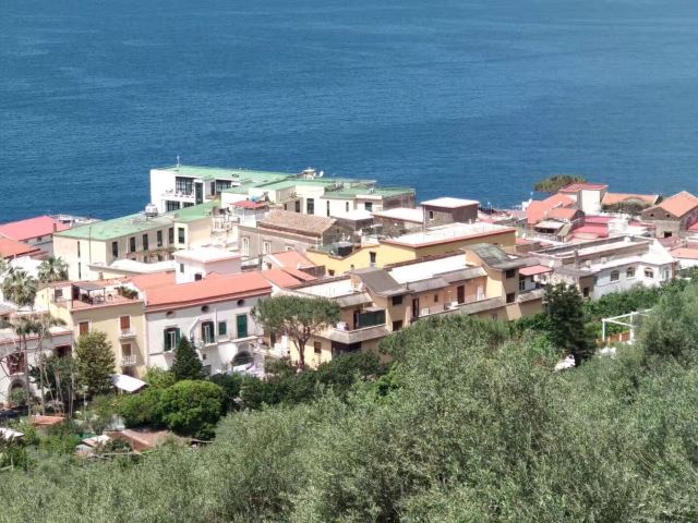 Vomero