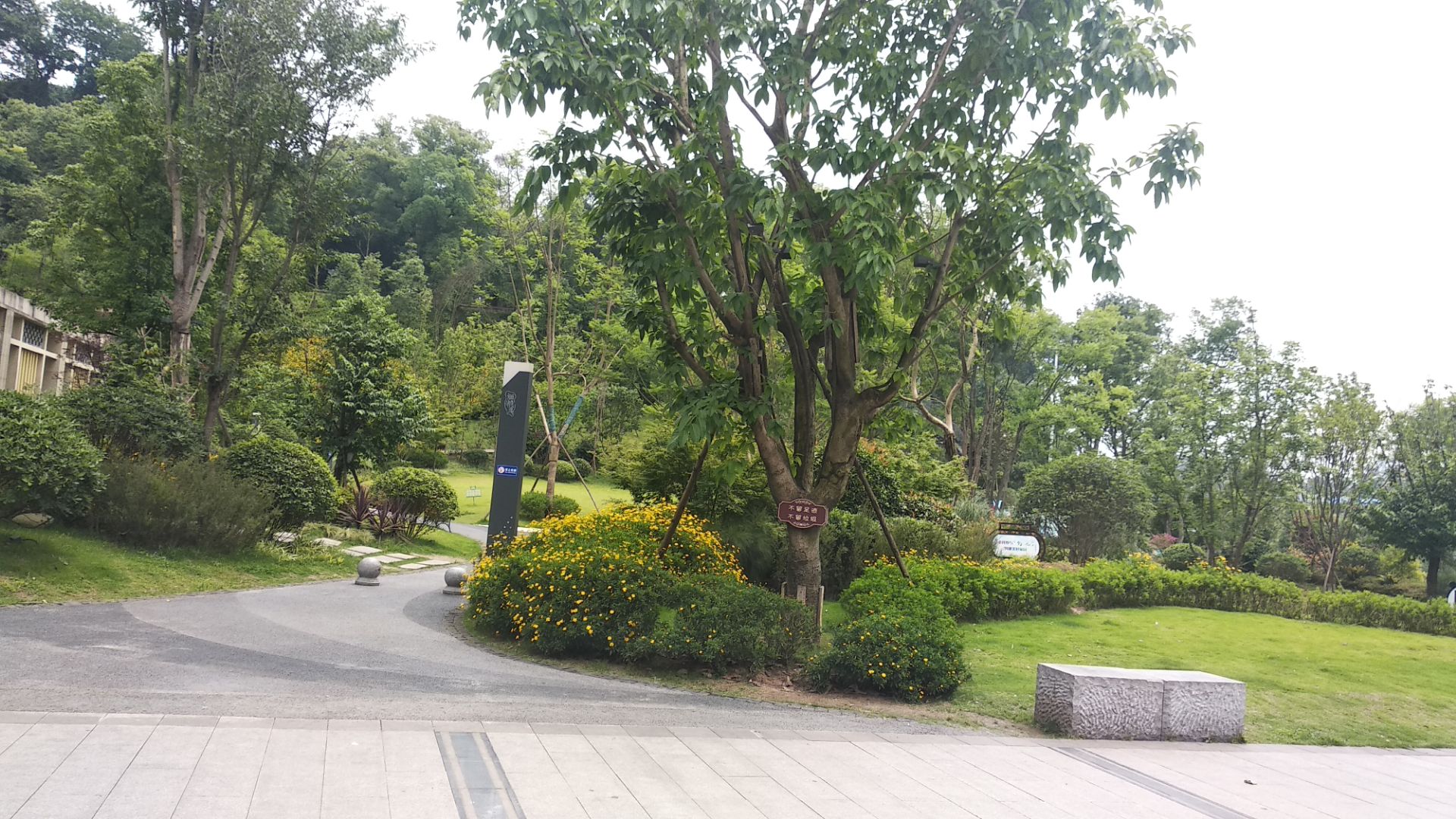 龙井公园