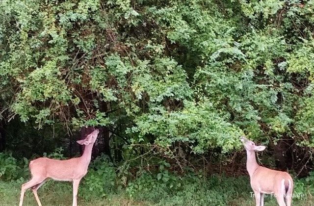 Tims Ford State Park Tickets Deals Reviews Family Holidays
