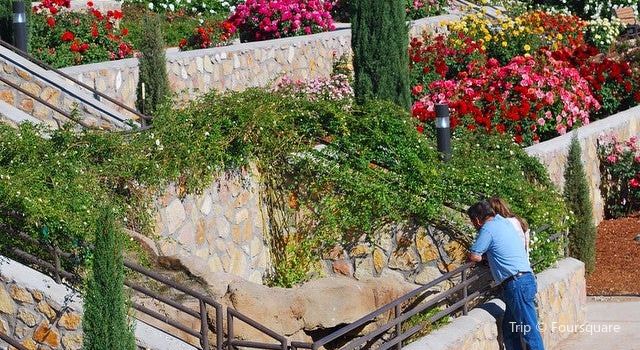 El Paso Municipal Rose Garden Travel Guidebook Must Visit