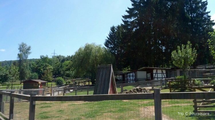 Vogelpark Schotten Travel Guidebook Must Visit Attractions In