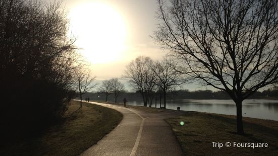 Olive Garden Reviews Food Drinks In Illinois Arlington Heights