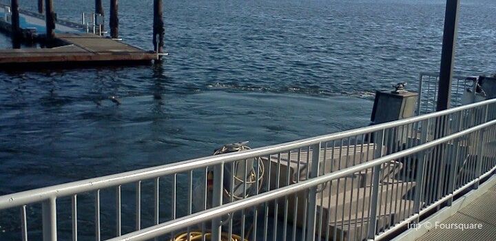 Port Orchard Foot Ferry Dock Travel Guidebook Must Visit