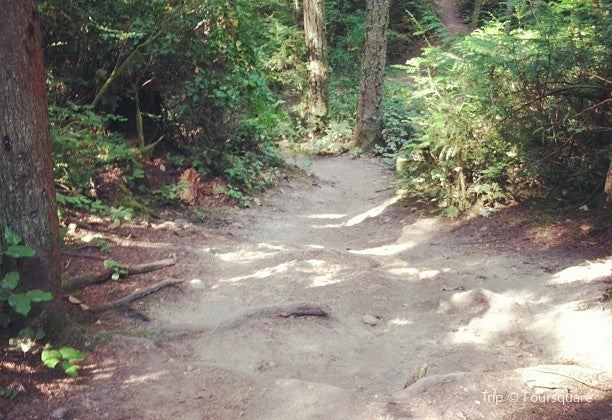 Banner Forest Travel Guidebook Must Visit Attractions In Kitsap