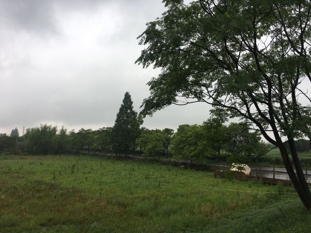 良渚文化村