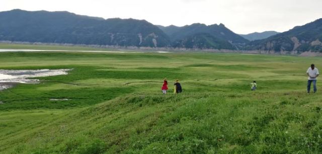 振江镇绿江村景点旅行图片 2