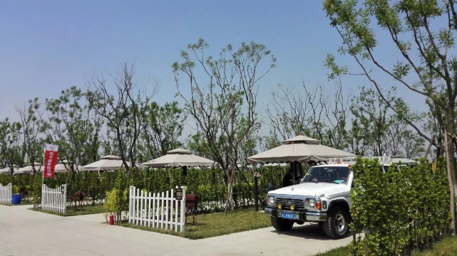 生生农家美食餐厅图片