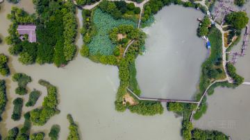 航拍太湖图影生态湿地文化园