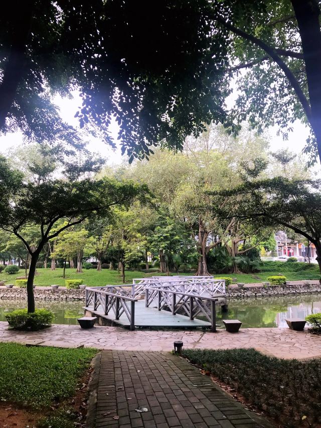 北滘公园旅行图片 14