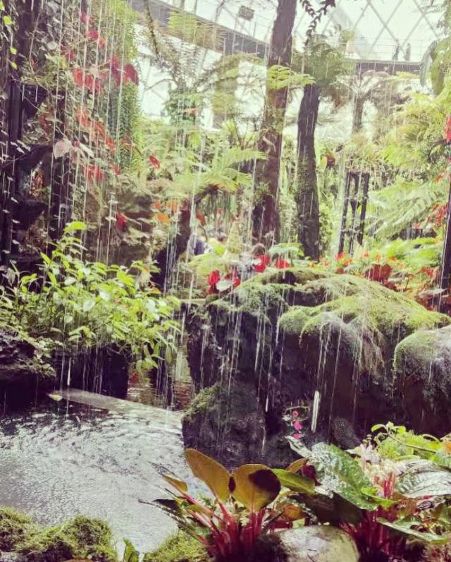 新加坡濱海灣花園
