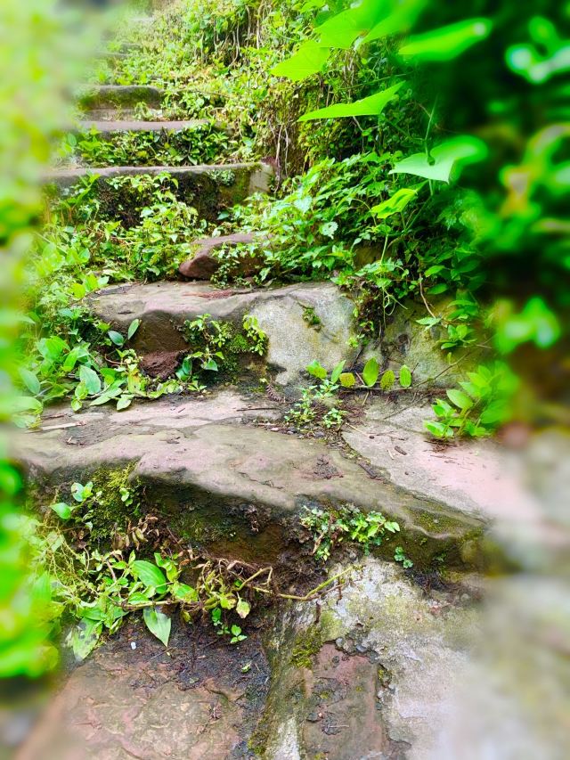 马边荞坝古镇 攻略,马边荞坝古镇 门票/游玩攻略/地址/图片/门票价格