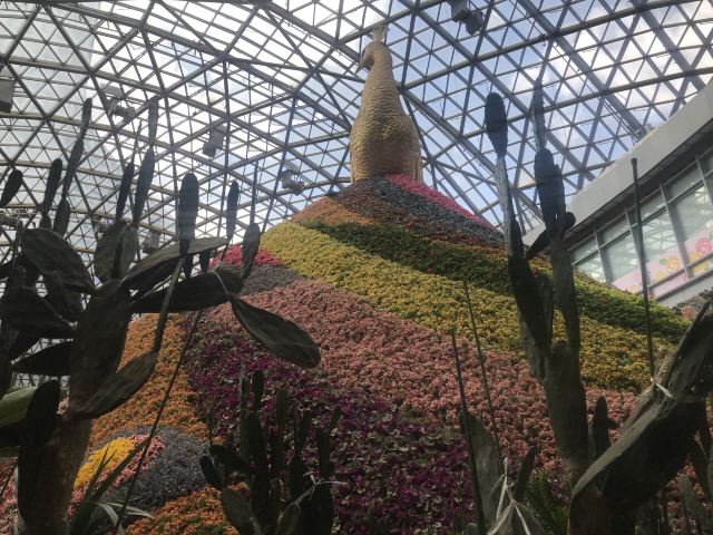 花之城