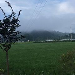 朱旺村古建筑群旅行图片 3