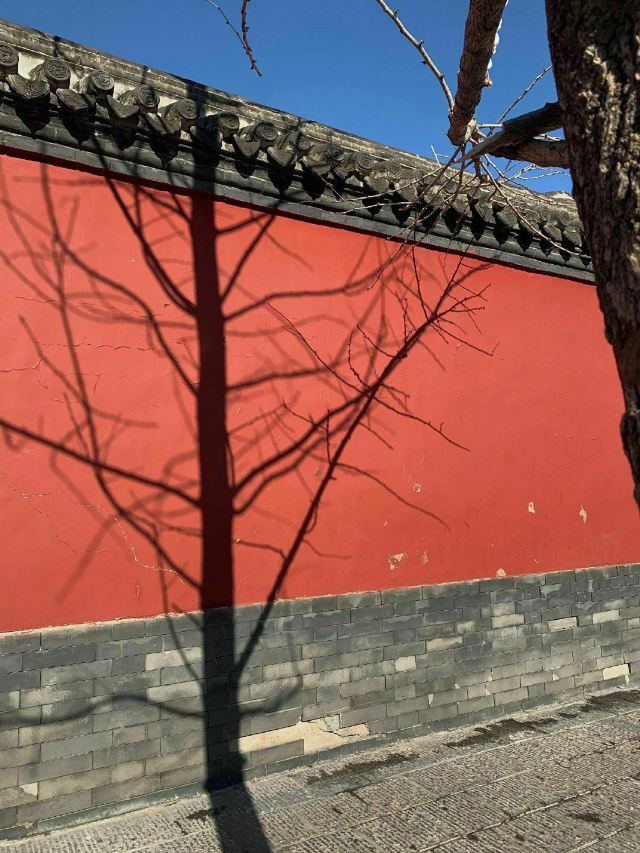 瀋陽故宮