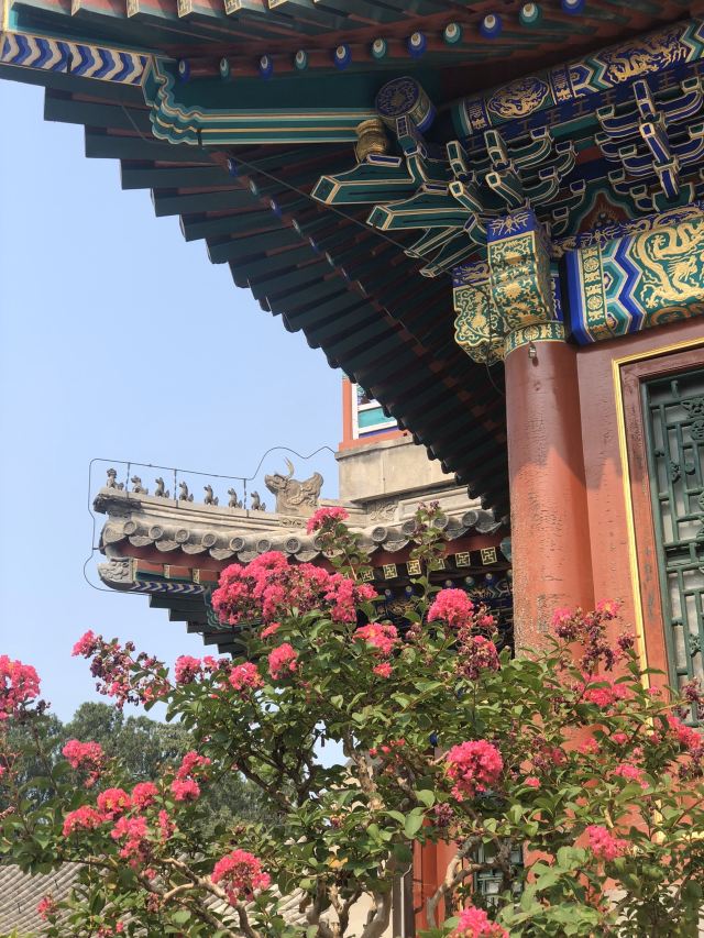 Summer Palace
