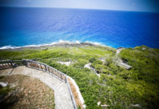 鸟类保护区景点图片