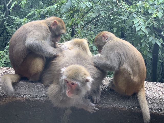 云贵山山头公园旅行图片 2