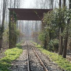 滨湖国家森林公园-合肥-CNG一