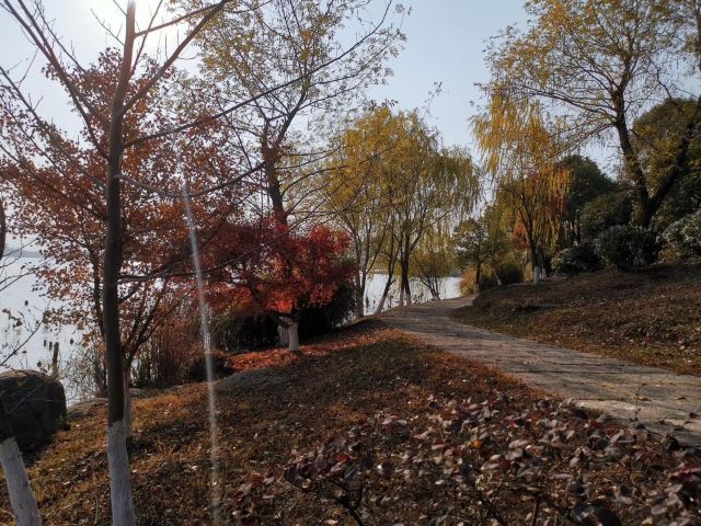 岭南公园旅行图片 3