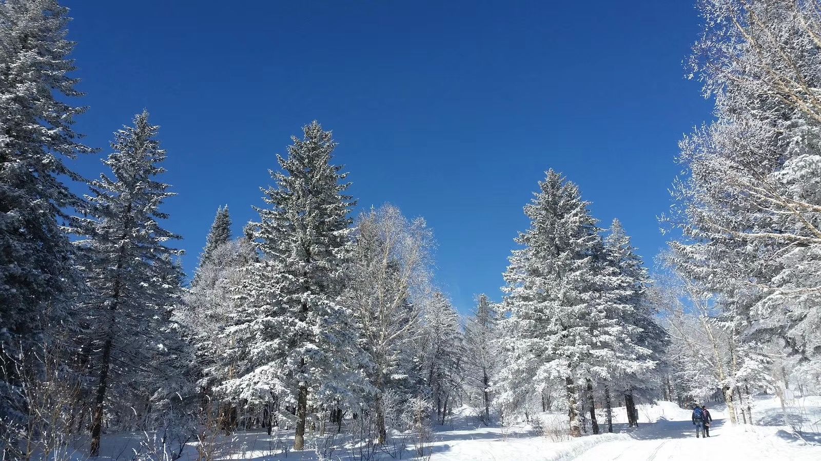 Harbin Yabuli Ski Resort