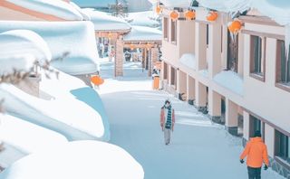 2020年的第一场旅行,从雪乡到哈尔滨,给世界留点白