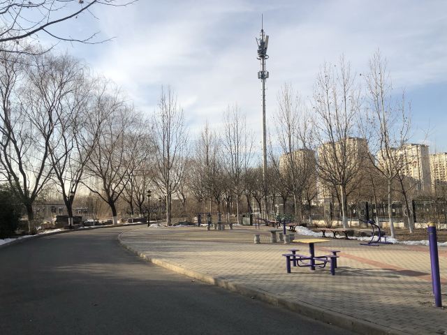西局玉璞园旅行图片 3