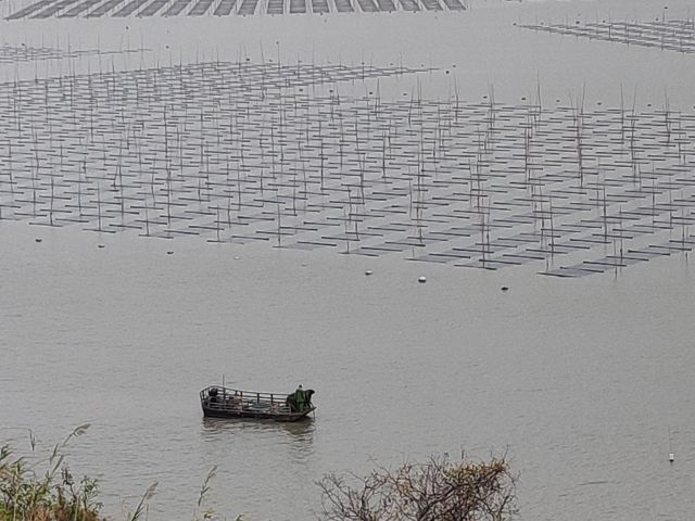 小皓海滩旅行图片 3