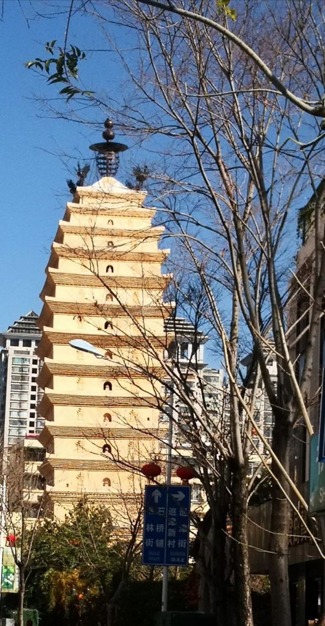东寺塔茶花园旅行图片 3
