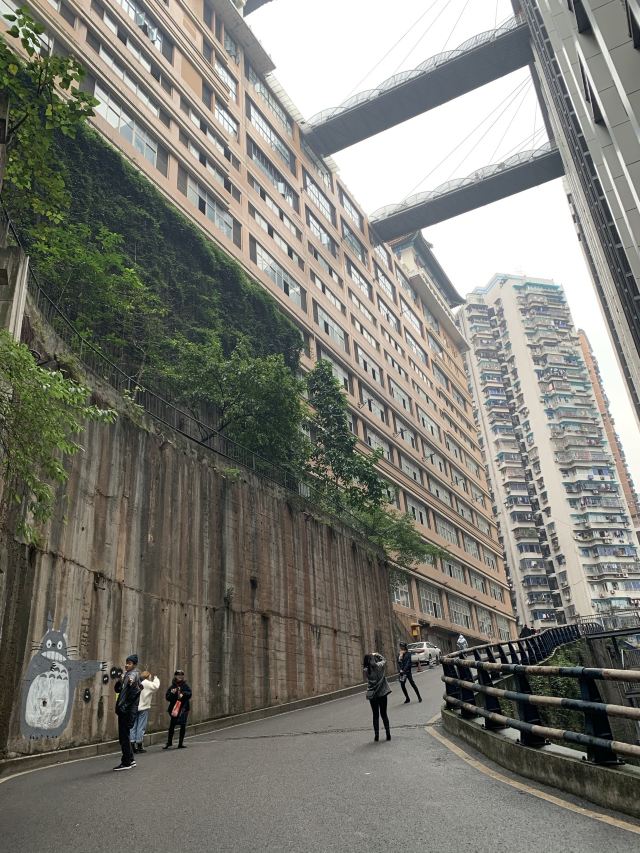 魁星楼旅行图片 1