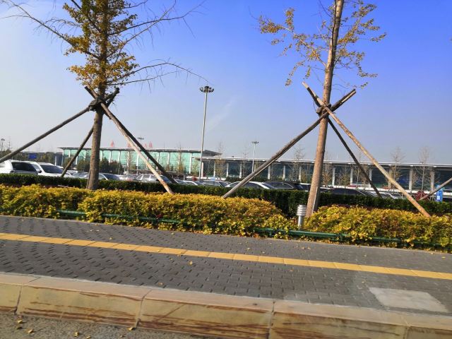 周水子广场旅行图片 1